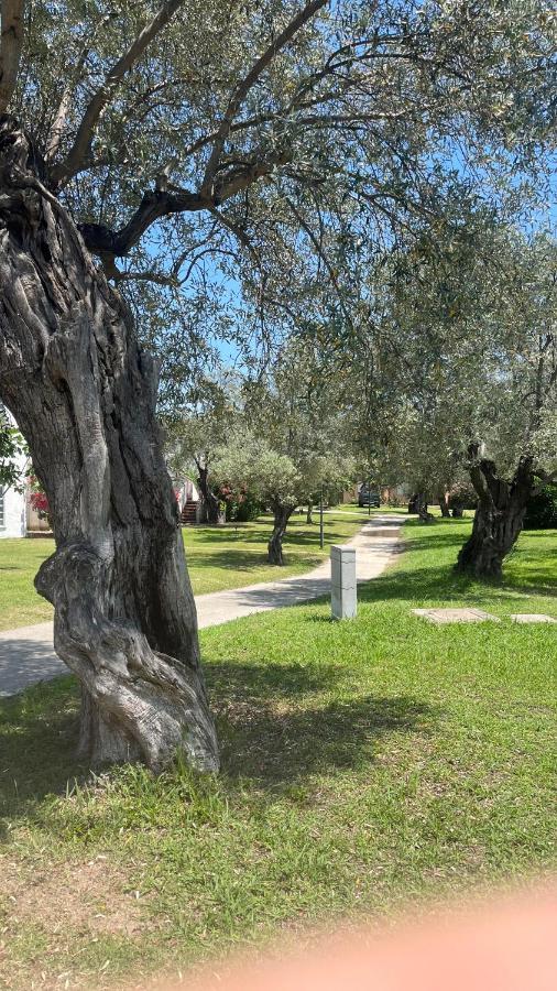 L'Isola Dei Vacanzieri Сант'Андреа Апостоло дело Йонио Екстериор снимка