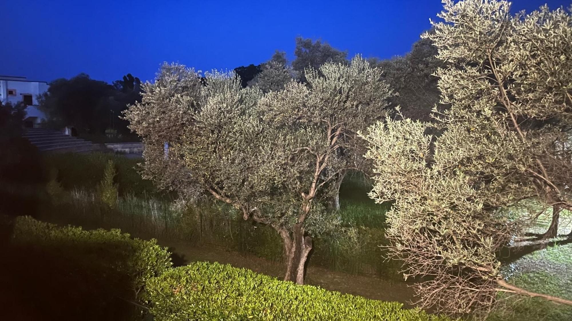 L'Isola Dei Vacanzieri Сант'Андреа Апостоло дело Йонио Екстериор снимка